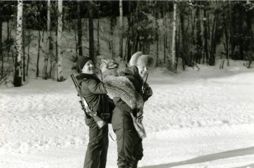Ilveksen kaato 80 luvulla