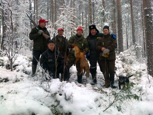 Kettujahdissa 2011