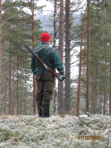 Metsällä 30.10.09 14