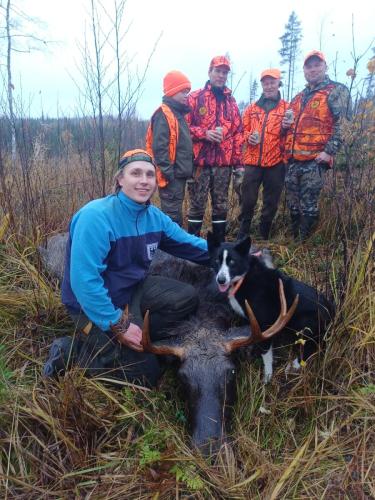 Jaskan uros kannaksella, Neva kuljetti